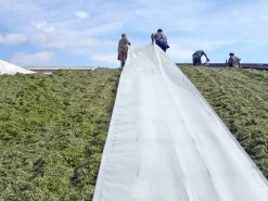 Plansilofolie 10x30m 115my>Poly-produkter Online