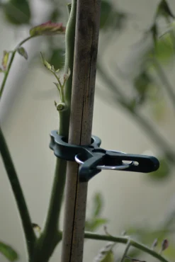 Plantclips Strong 20-p>Nelson Garden Sale