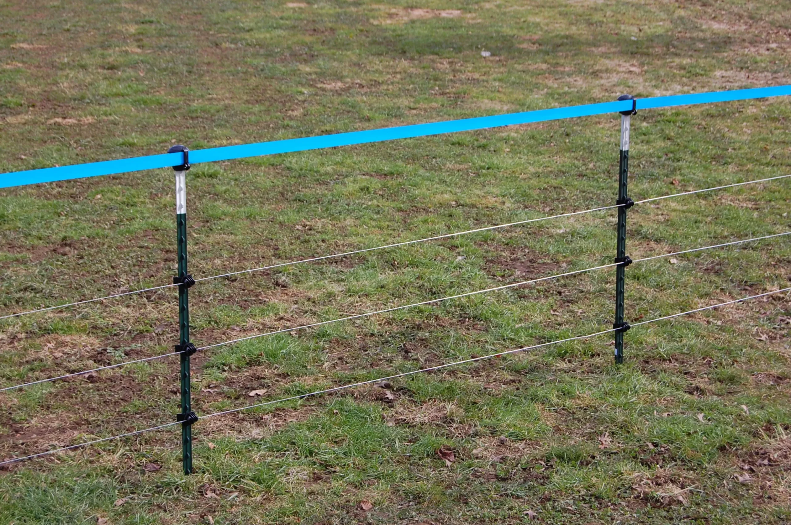 Plastband till Vildsvinsnät Blå 250m>Kerbl New