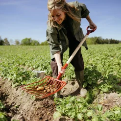 Potatisgrep 10-klo 125cm><noscript><img width=