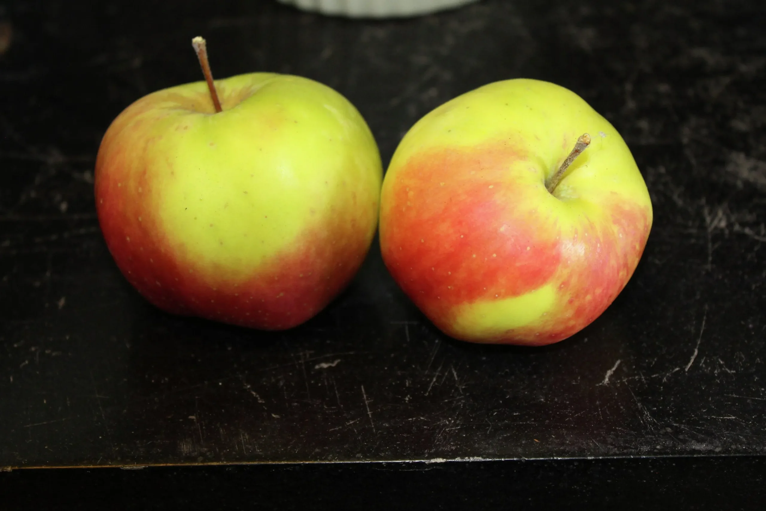 Äpple 'Filippa'>Omnia garden Sale
