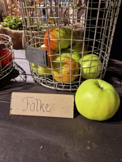 Äpple 'Folke'><noscript><img width=