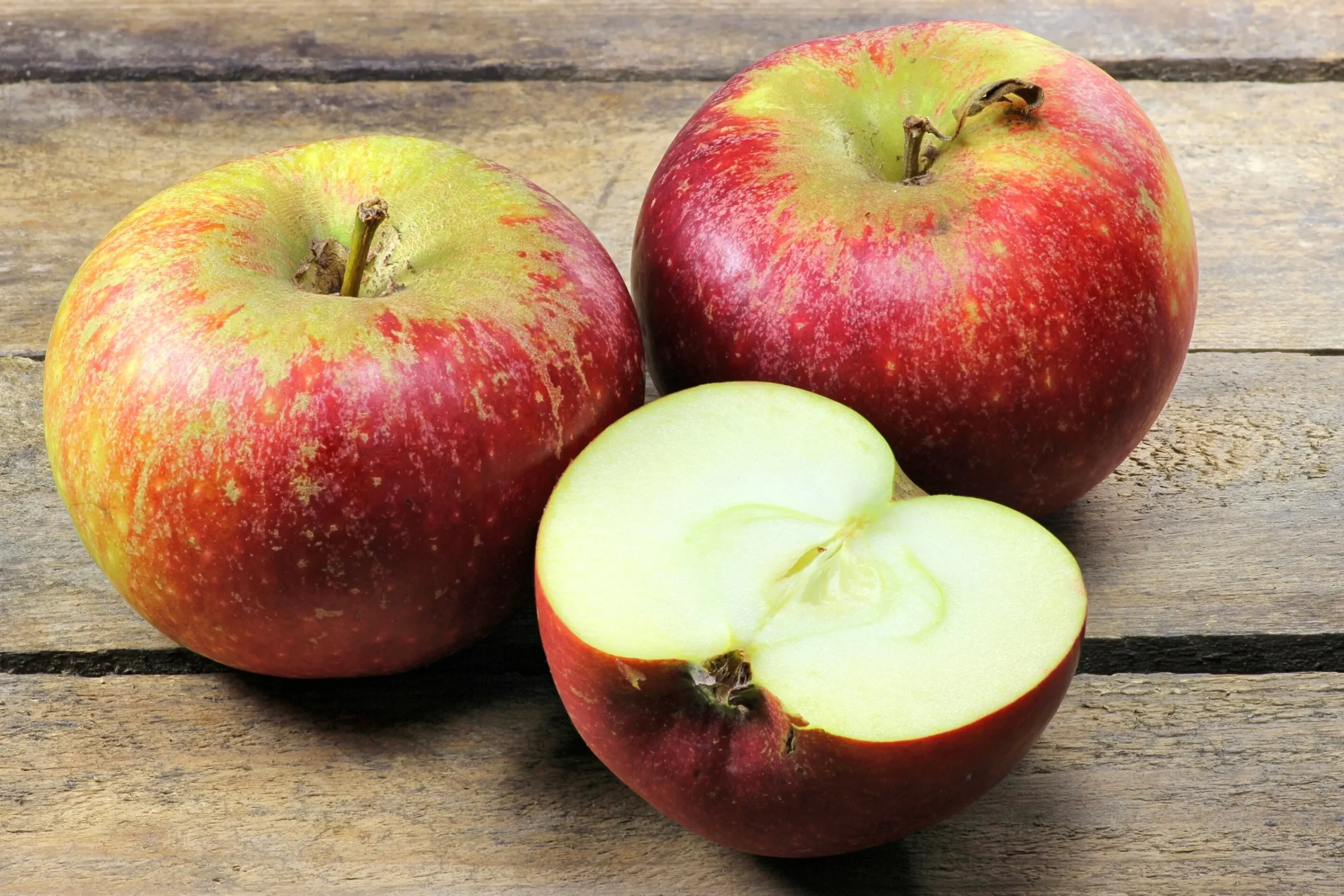 Äpple 'Ingrid Marie' Svagväxande>Omnia garden Discount