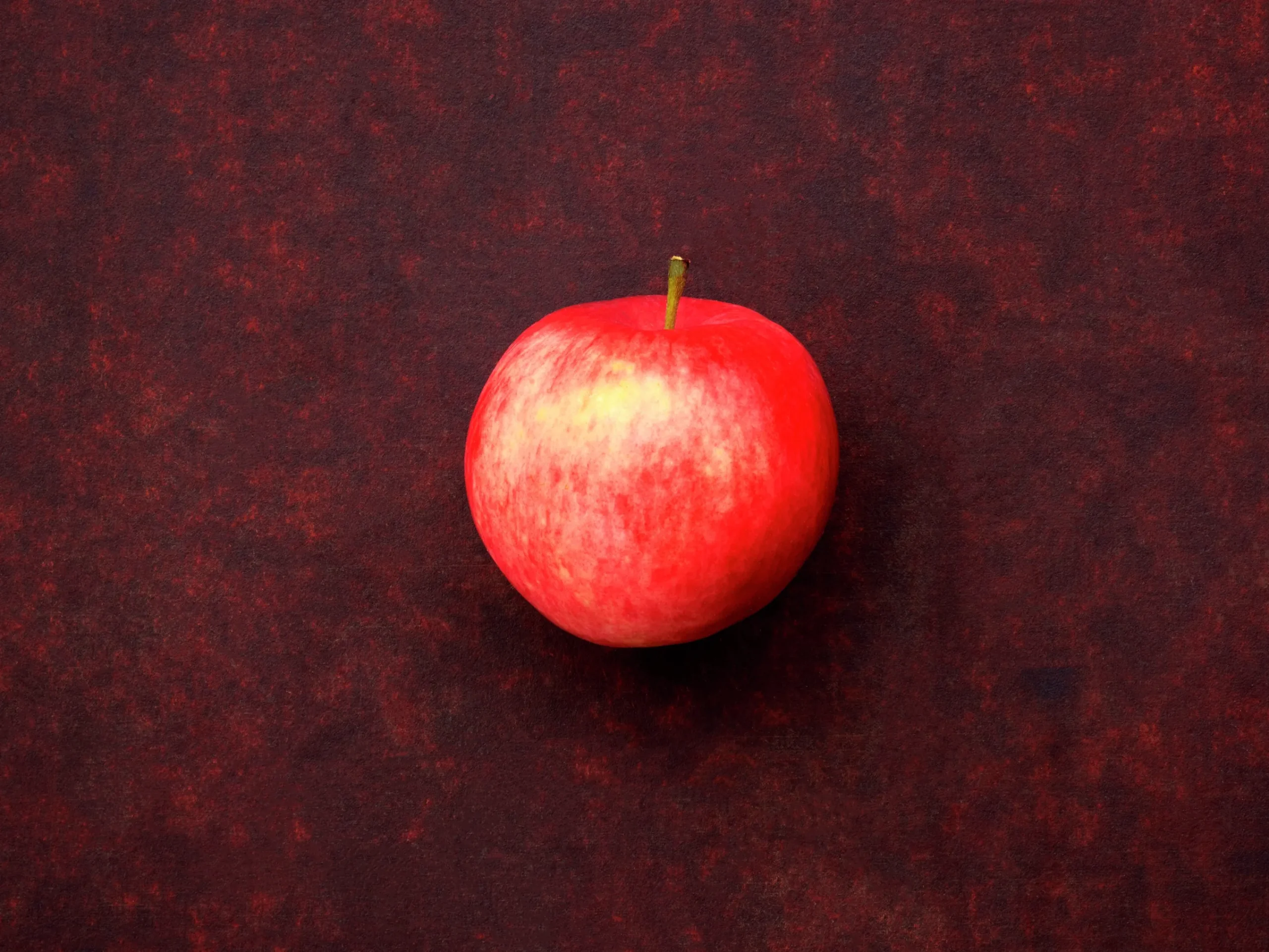 Äpple 'Mantet' Krukodlad>Omnia garden Outlet