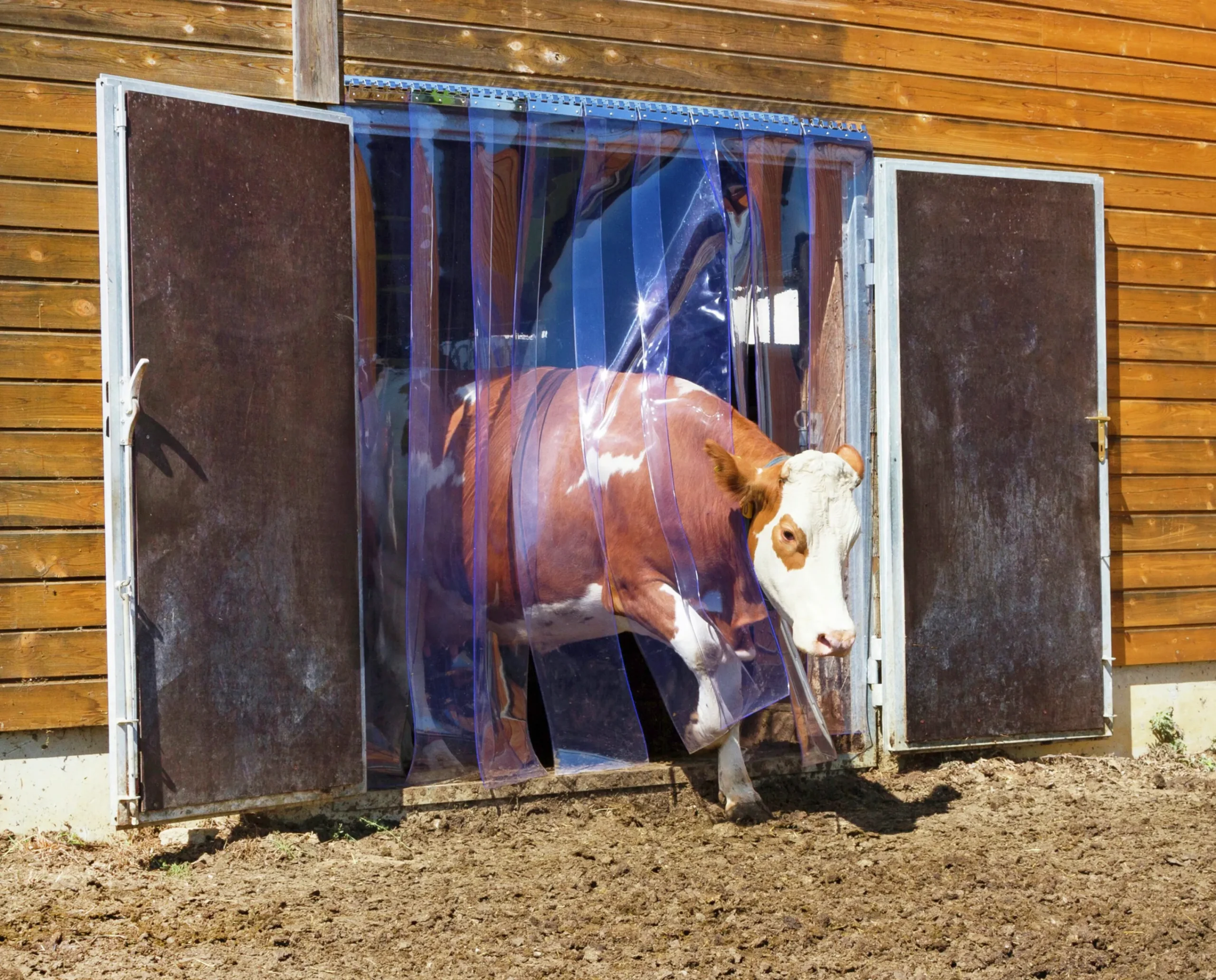 PVC-ridå transparent 200x2mm 25m>Kerbl Outlet