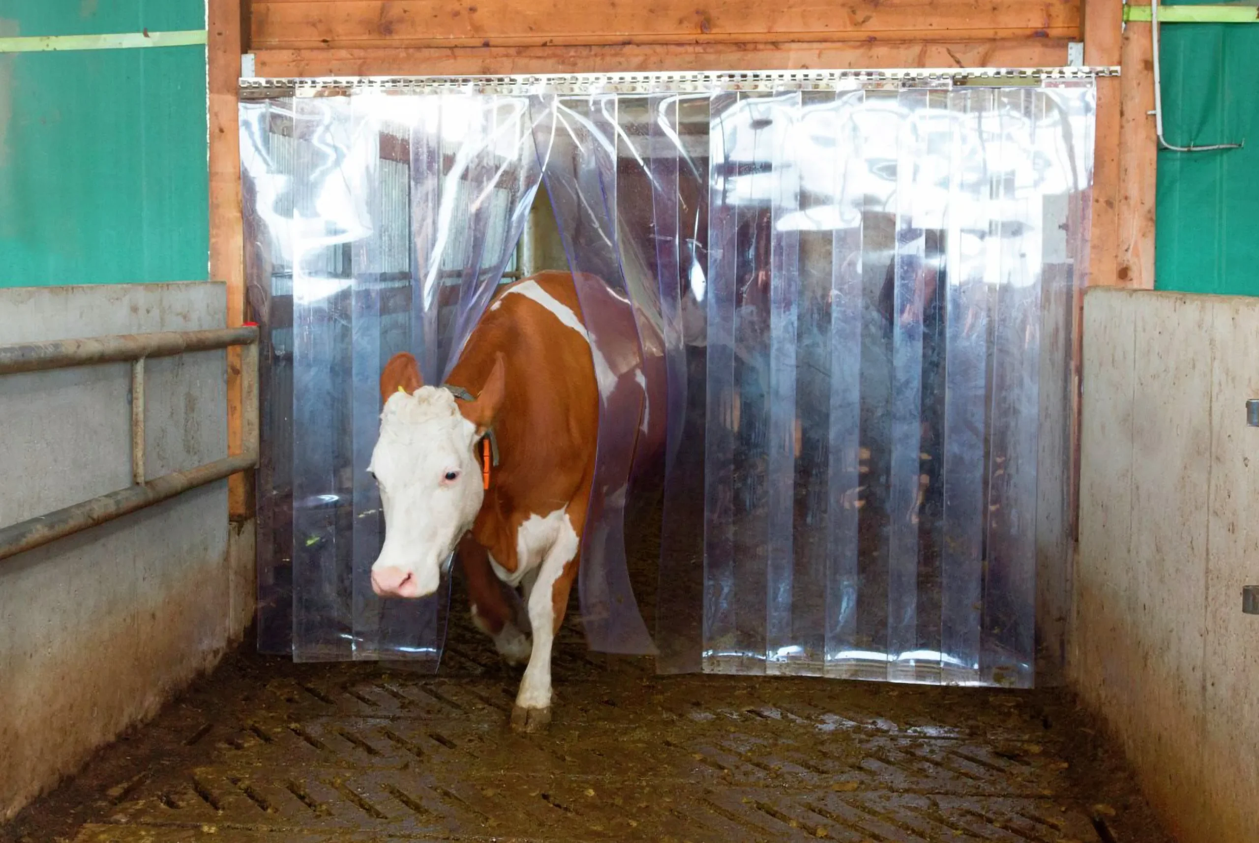 PVC-ridå transparent 200x3mm 25m>Kerbl Outlet