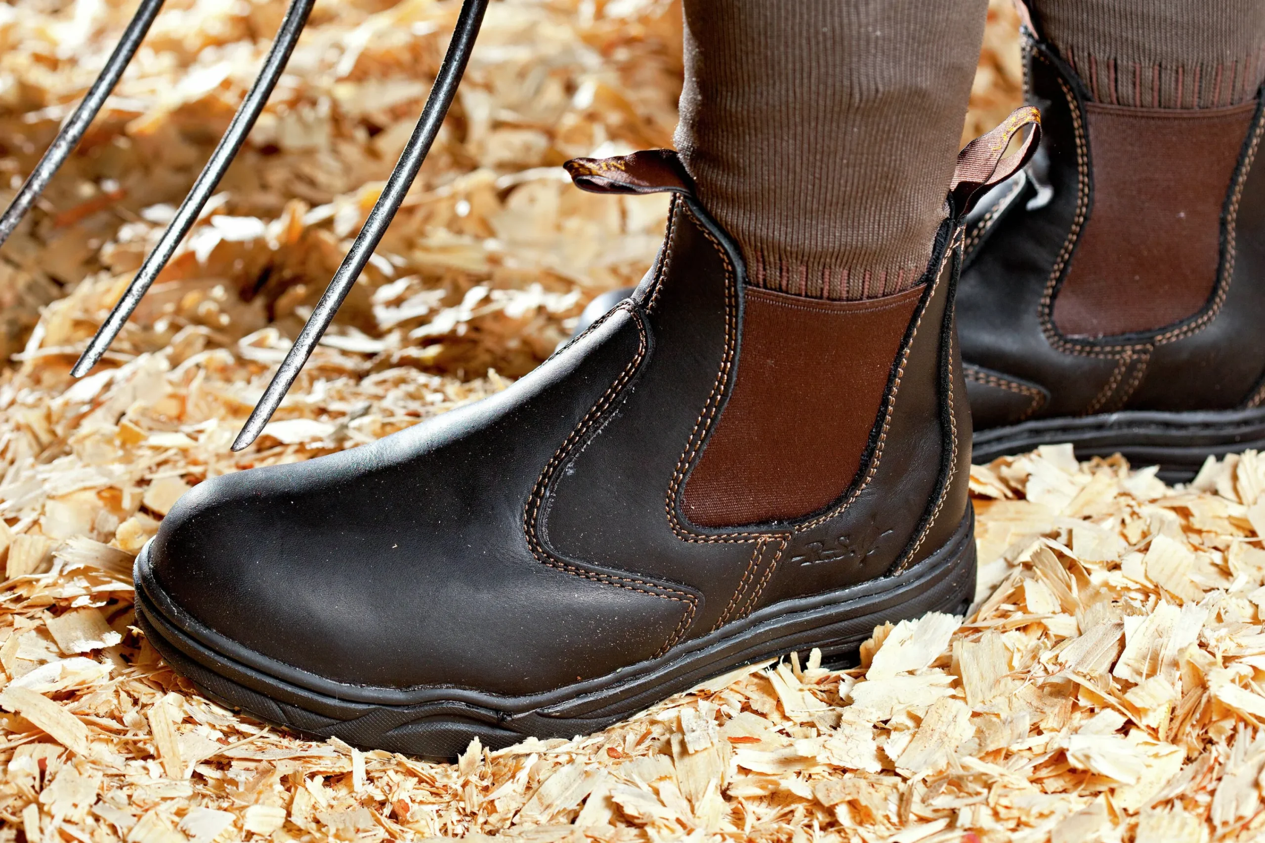 Ridsko Protective Jodphur>Mountain Horse New