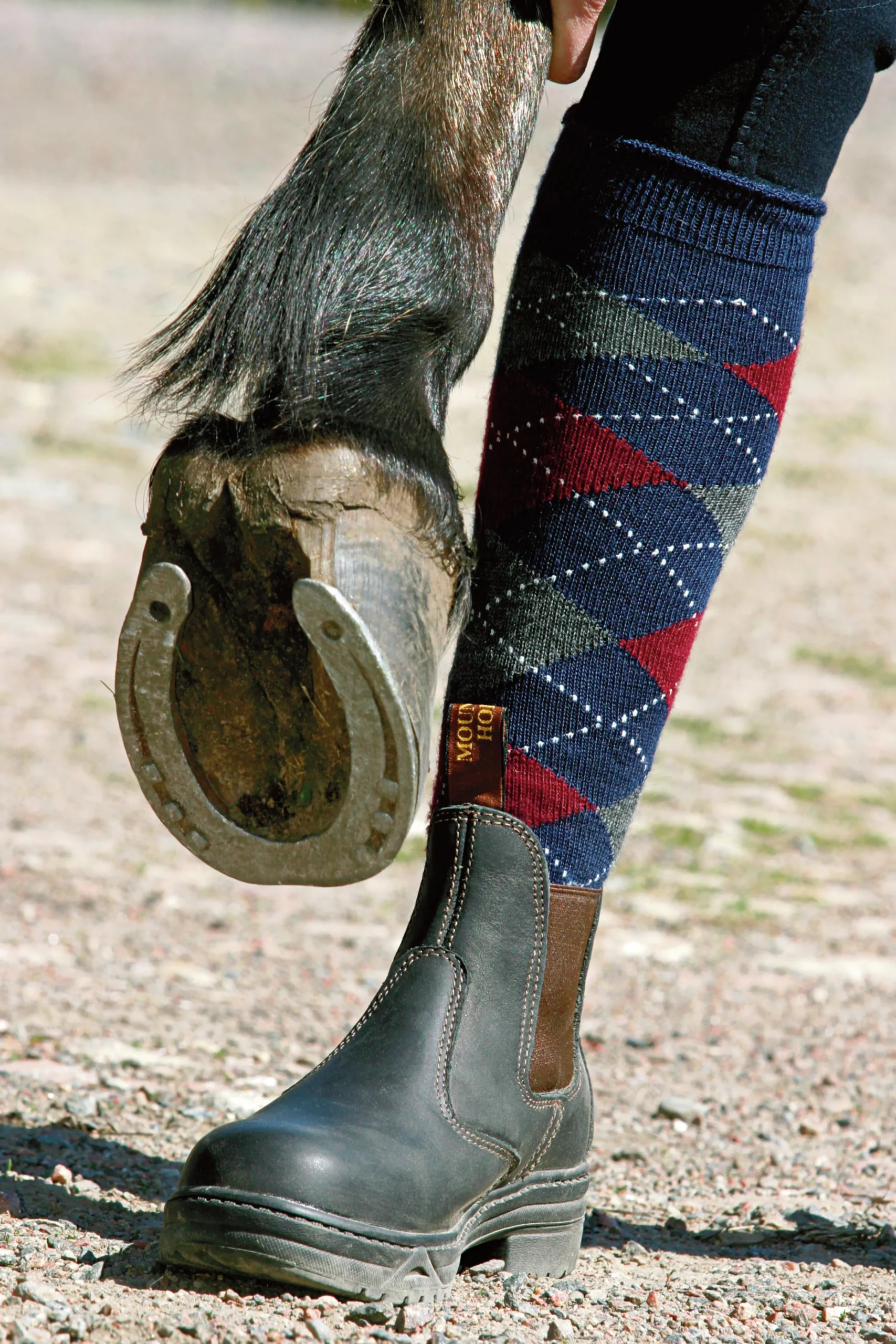 Ridsko Protective Jodphur>Mountain Horse New