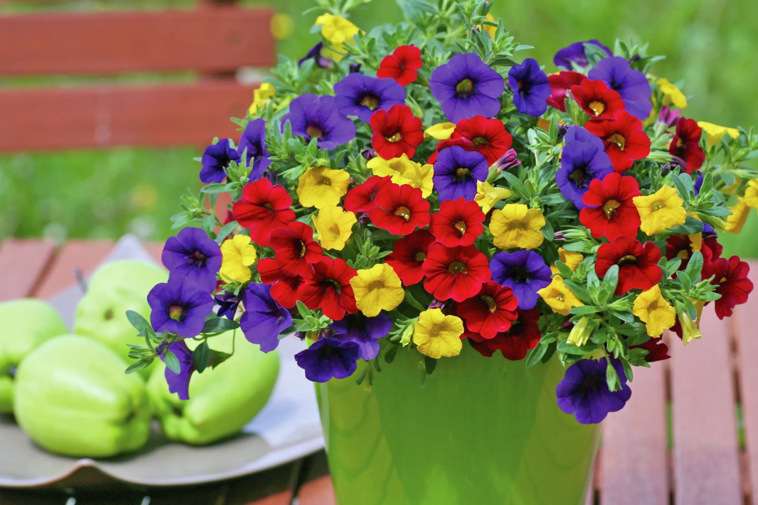 Romantic Garden Mixplantering>Mäster Grön Hot