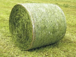 Rundbalsnät Classic Premium HD 125cm 2600m><noscript><img width=