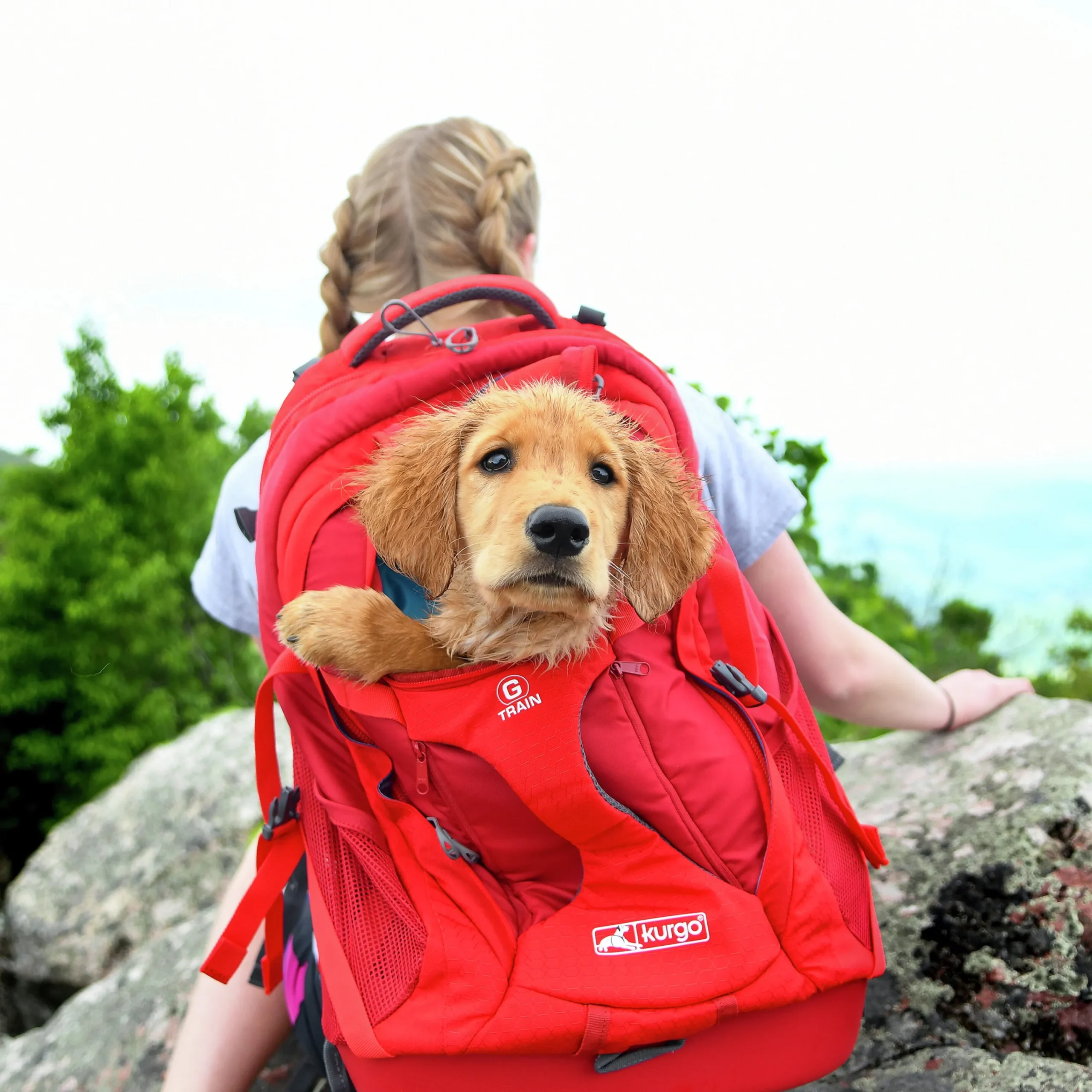 Ryggsäck Hund G-Train Röd>Kurgo Sale