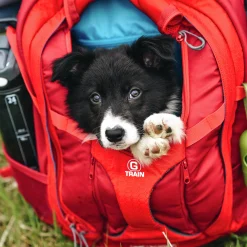 Ryggsäck Hund G-Train Röd><noscript><img width=