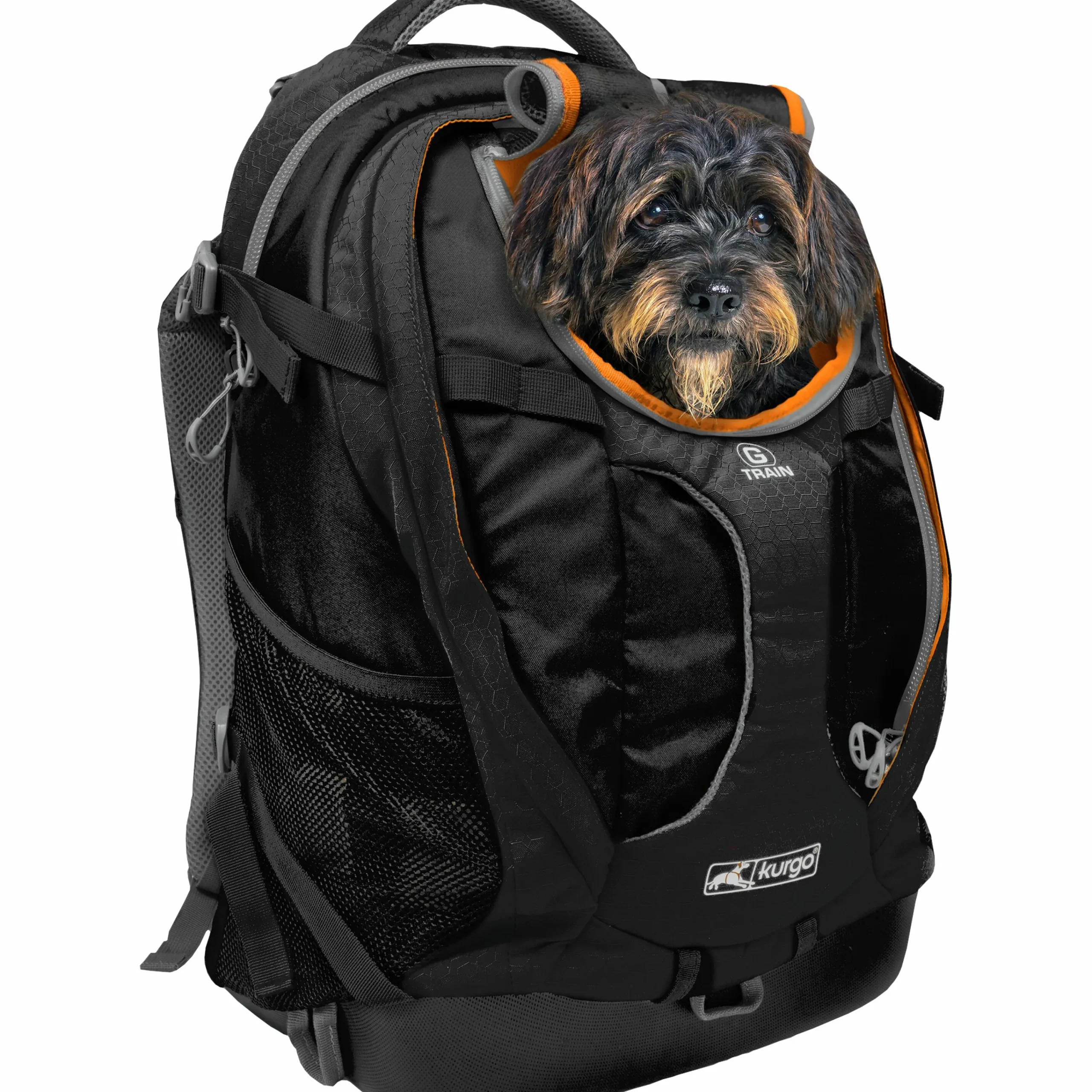 Ryggsäck Hund G-Train Svart>Kurgo Hot