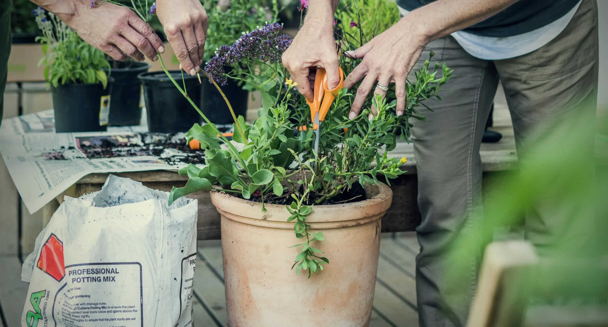 Sax S90 Garden 21cm>Fiskars Sale