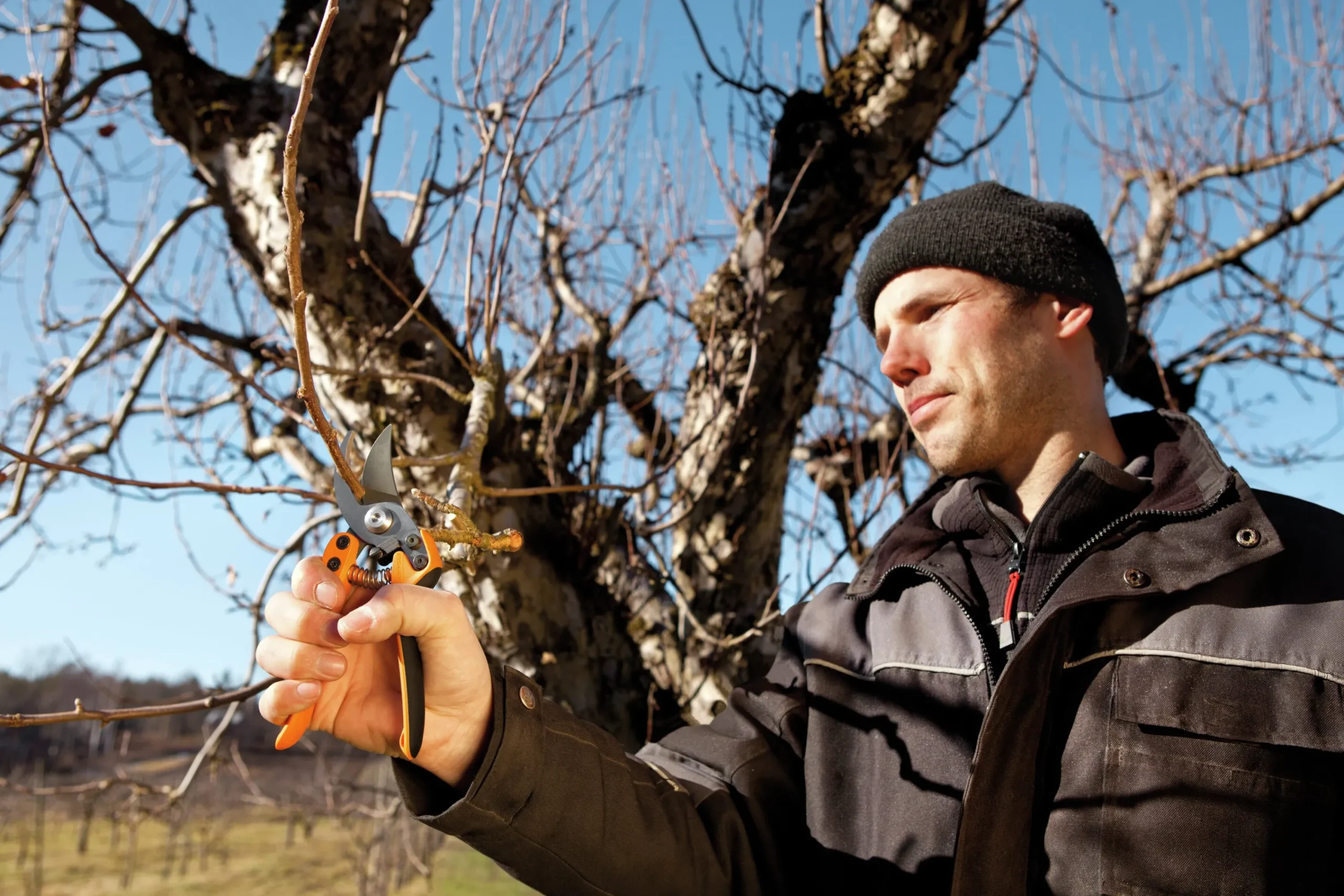 Sekatör Professional PB-8 Sidoskär M>Fiskars Online