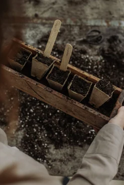 S-Jord Såjord Hasselfors 15L>Hasselfors Garden