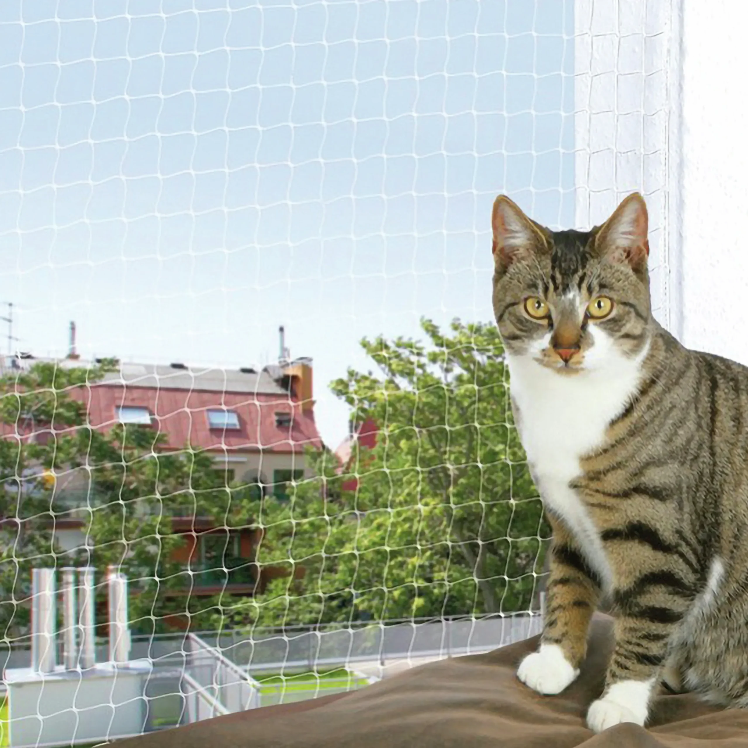 Säkerhetsnät Katt Transparent 2x1,5m>Trixie Clearance