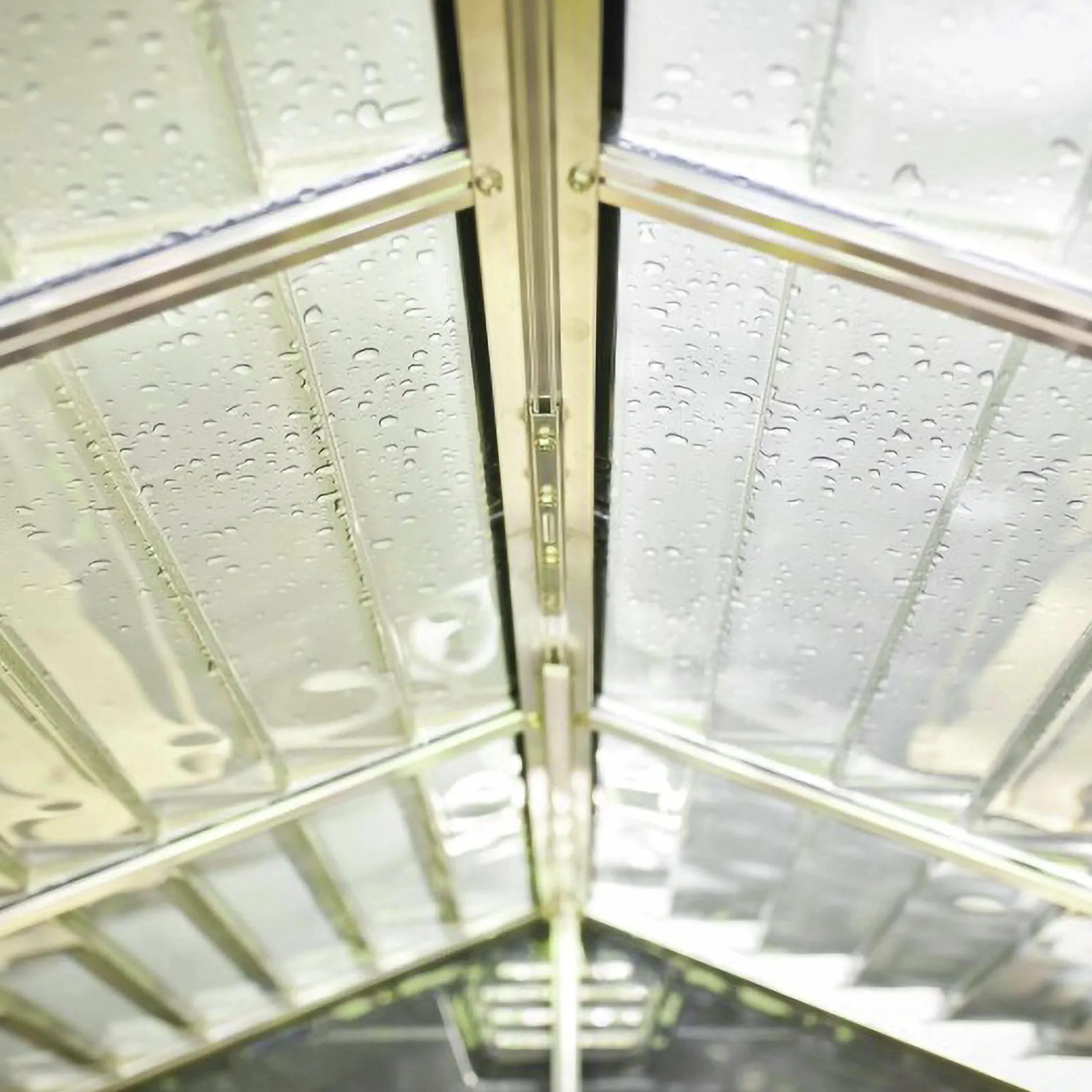 Skjul Skylight grå>Canopia by Palram Best