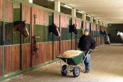 Skottkärra Horses Grön 160L>Gardenia Online