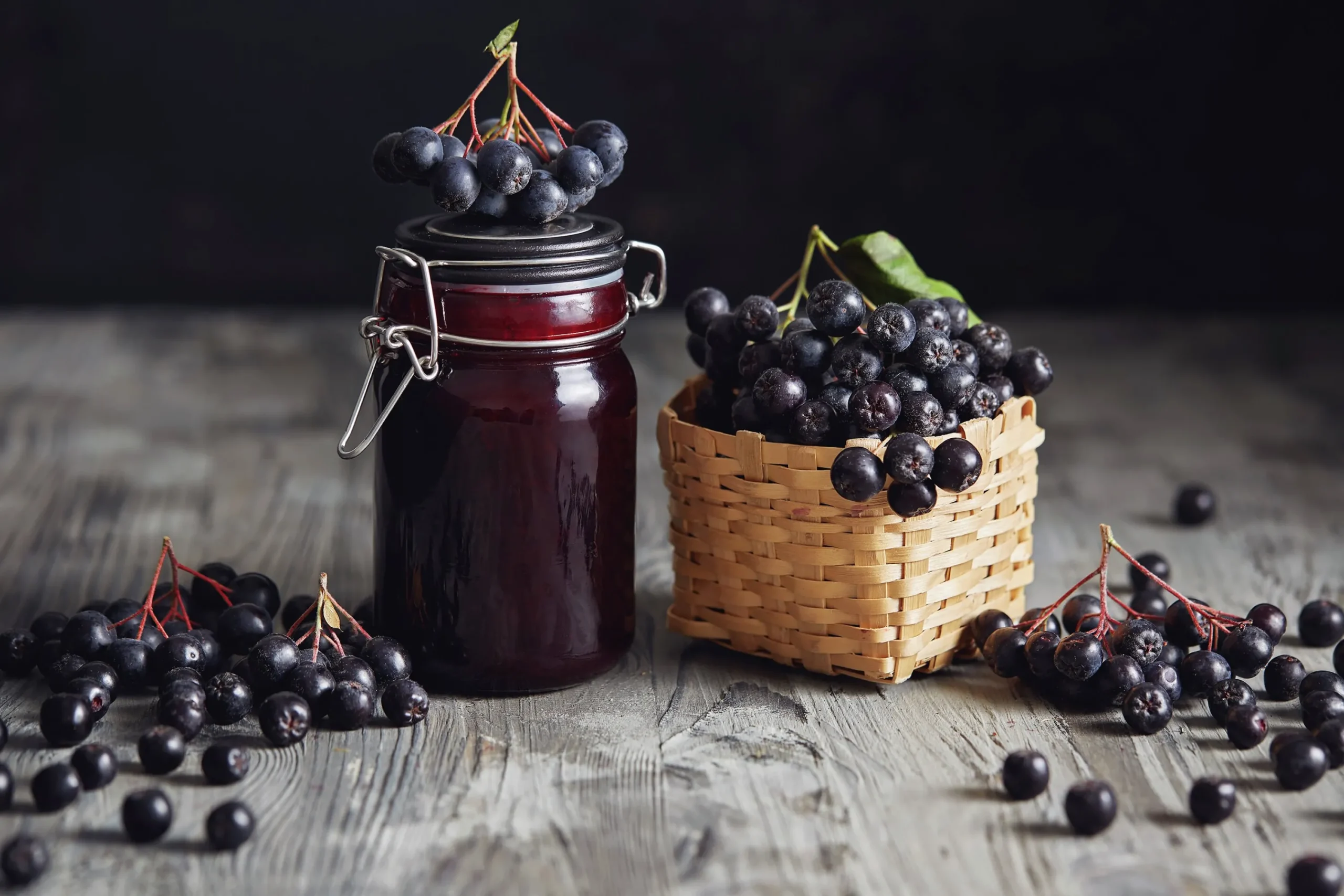 Slånaronia 'Elata' Goliath Barrotad>Omnia garden