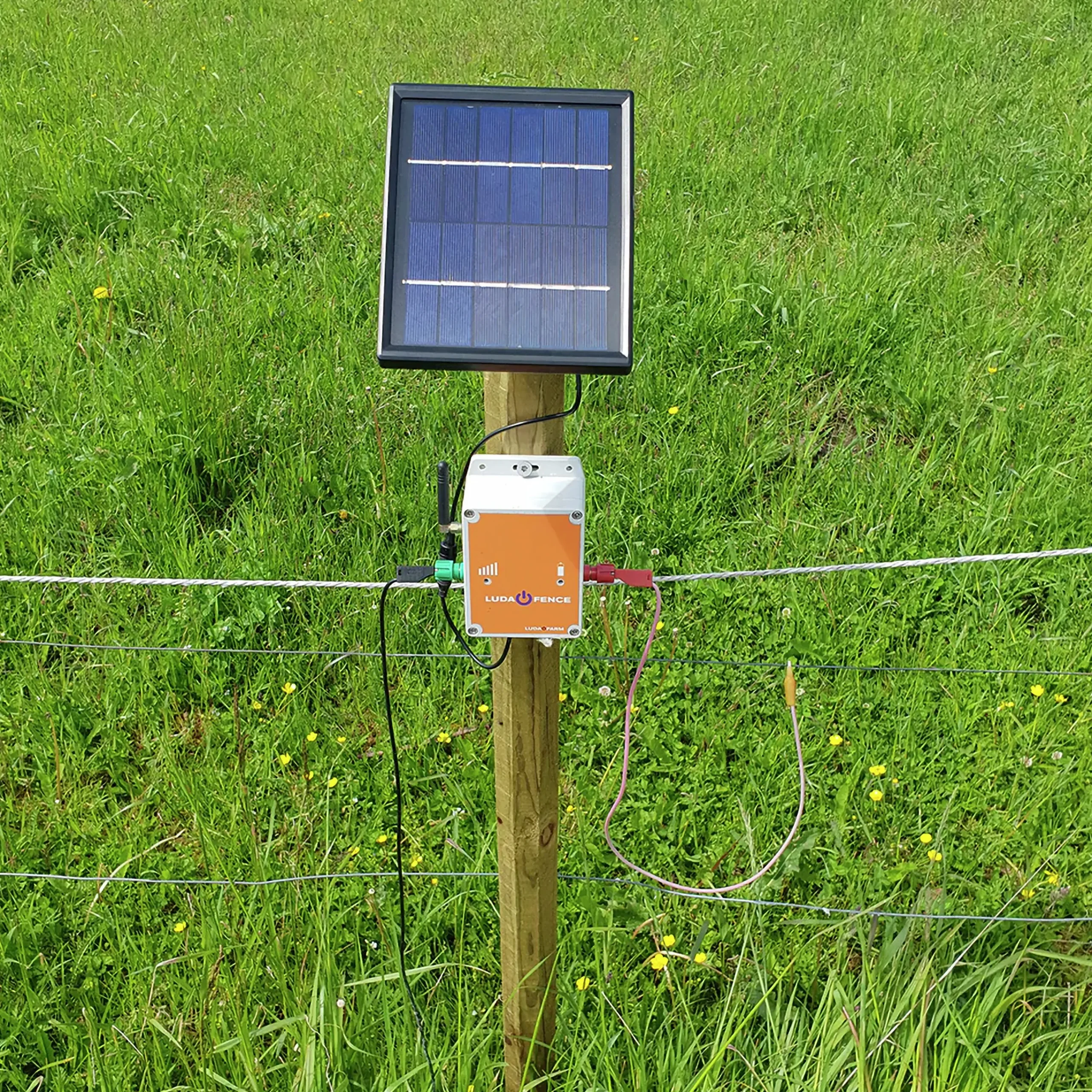 Solcellspanel Fence Alarm 3W>Luda.Farm Best