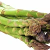 Sparris lat. Asparagus officinalis 'Gijnlim'>Mäster Grön Outlet