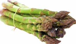 Sparris lat. Asparagus officinalis 'Gijnlim'>Mäster Grön Outlet