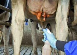 Spendopp Prima Plus 20L>DeLaval Outlet