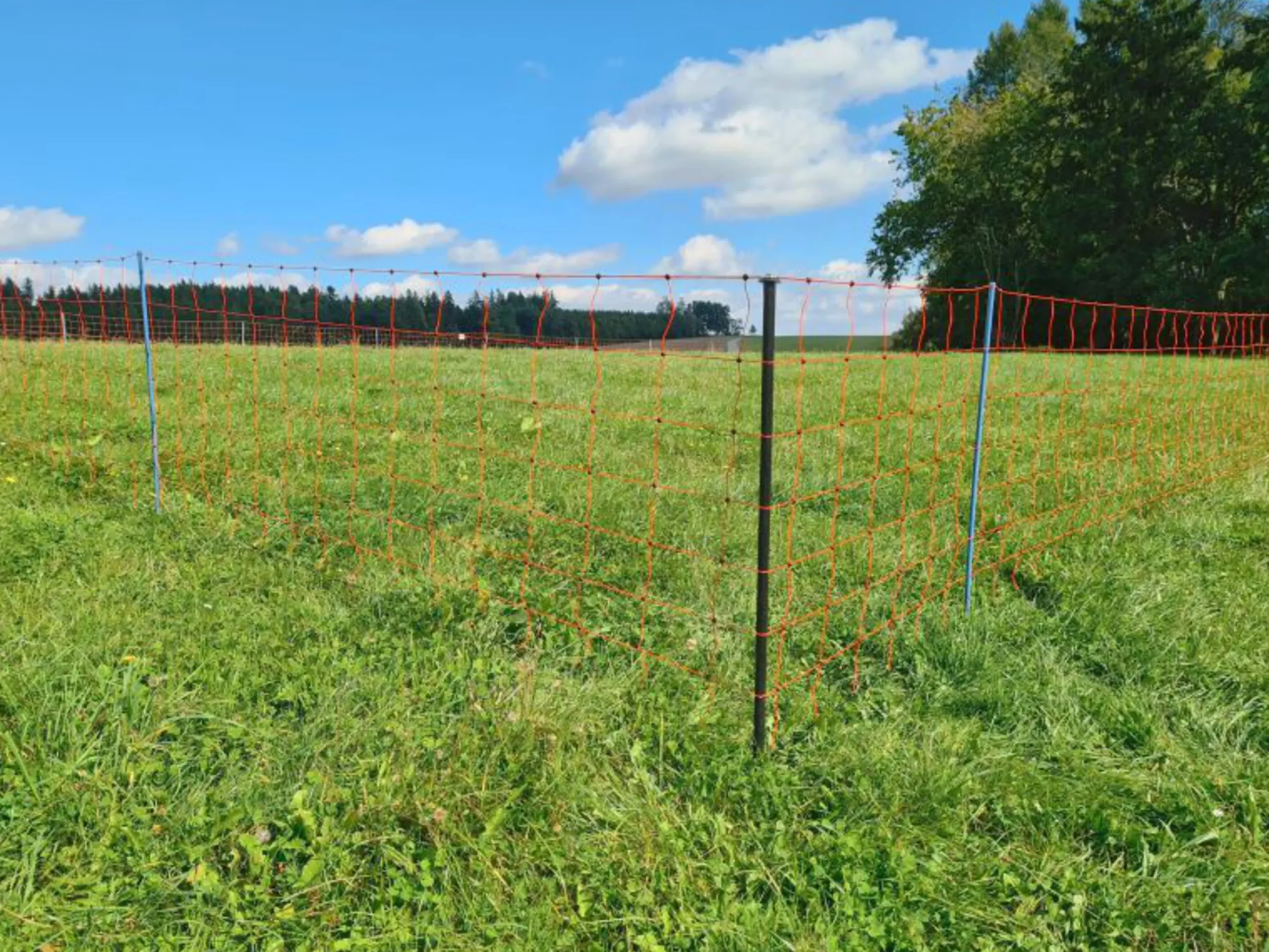 Stagstolpe Plastad Metall Svart 14mmx145cm>Kerbl Outlet