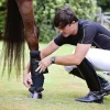 Stallbandage Royal Svart M 2-p>Back on Track Hot