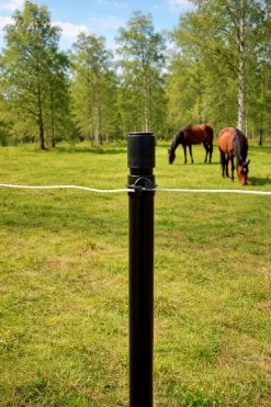 Stängselset 5 stolpar och 20 isolatorer 150cm><noscript><img width=