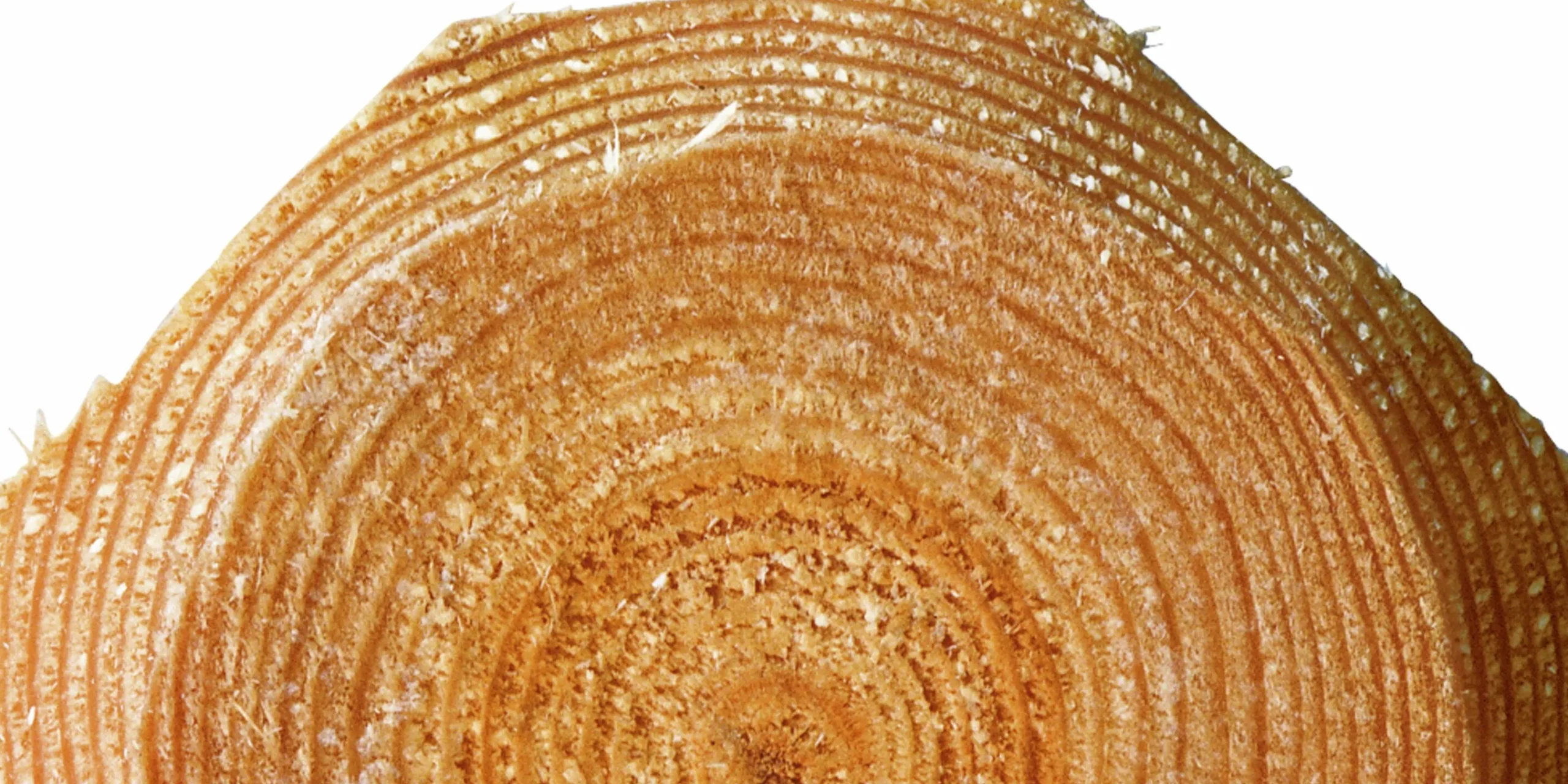 Stängselslana halvåttkantig 100x1800mm 1-p>Octowood Hot