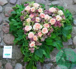 Storblommig ros 'Morten Korch' 'Harmisty' Barrotad>Omnia garden