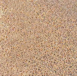 Ströpellets stallpellets Helpall 52x15kg (hemleverans)><noscript><img width=