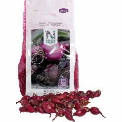 Sättlök Röd värmebehandlad 250g>Nelson Garden Sale