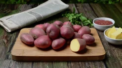 Sättpotatis Asterix Höst 15kg>LPM Discount