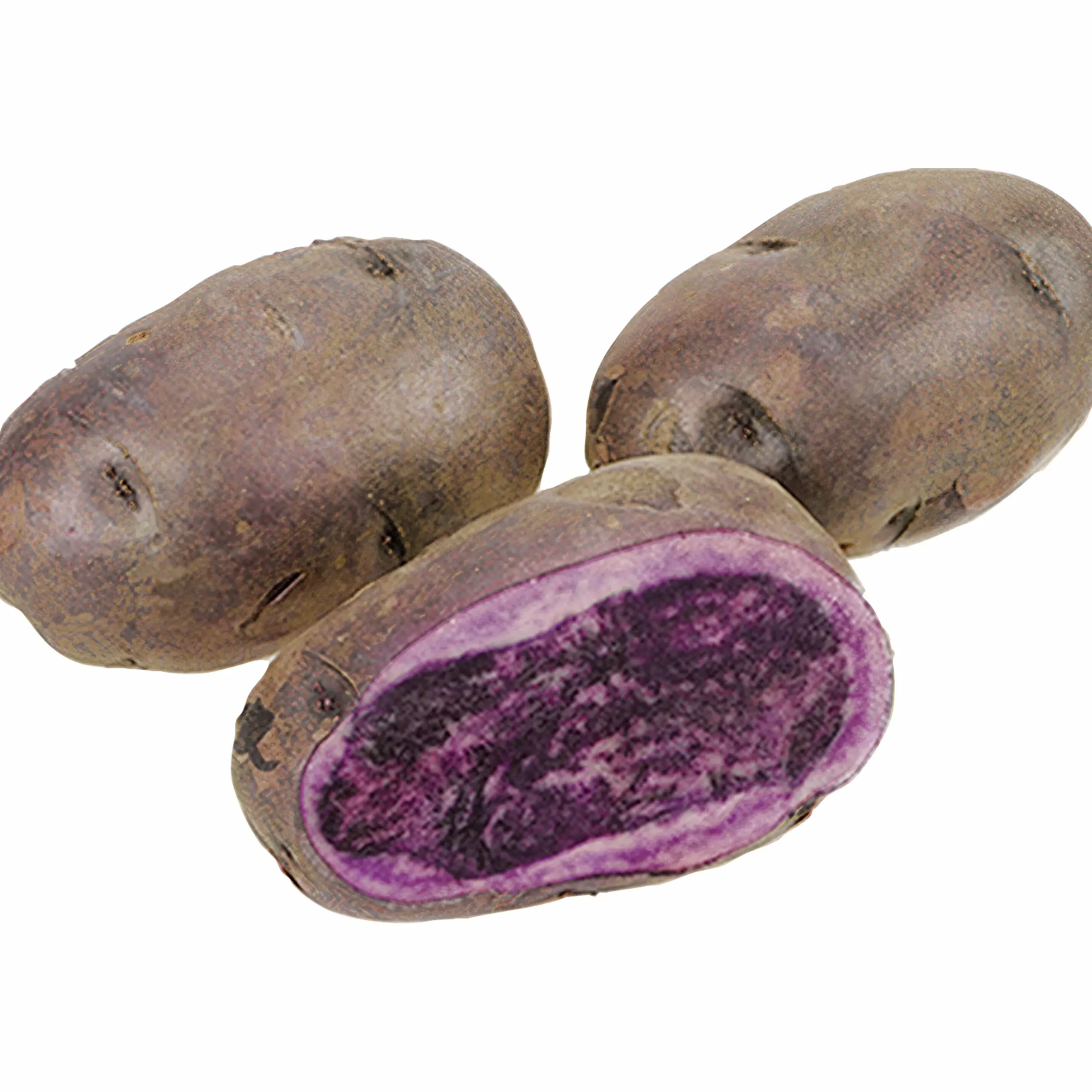 Sättpotatis Blå Kongo Höst 1kg>LPM Discount