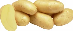 Sättpotatis Gourmandine Sommar 2kg>LPM Outlet