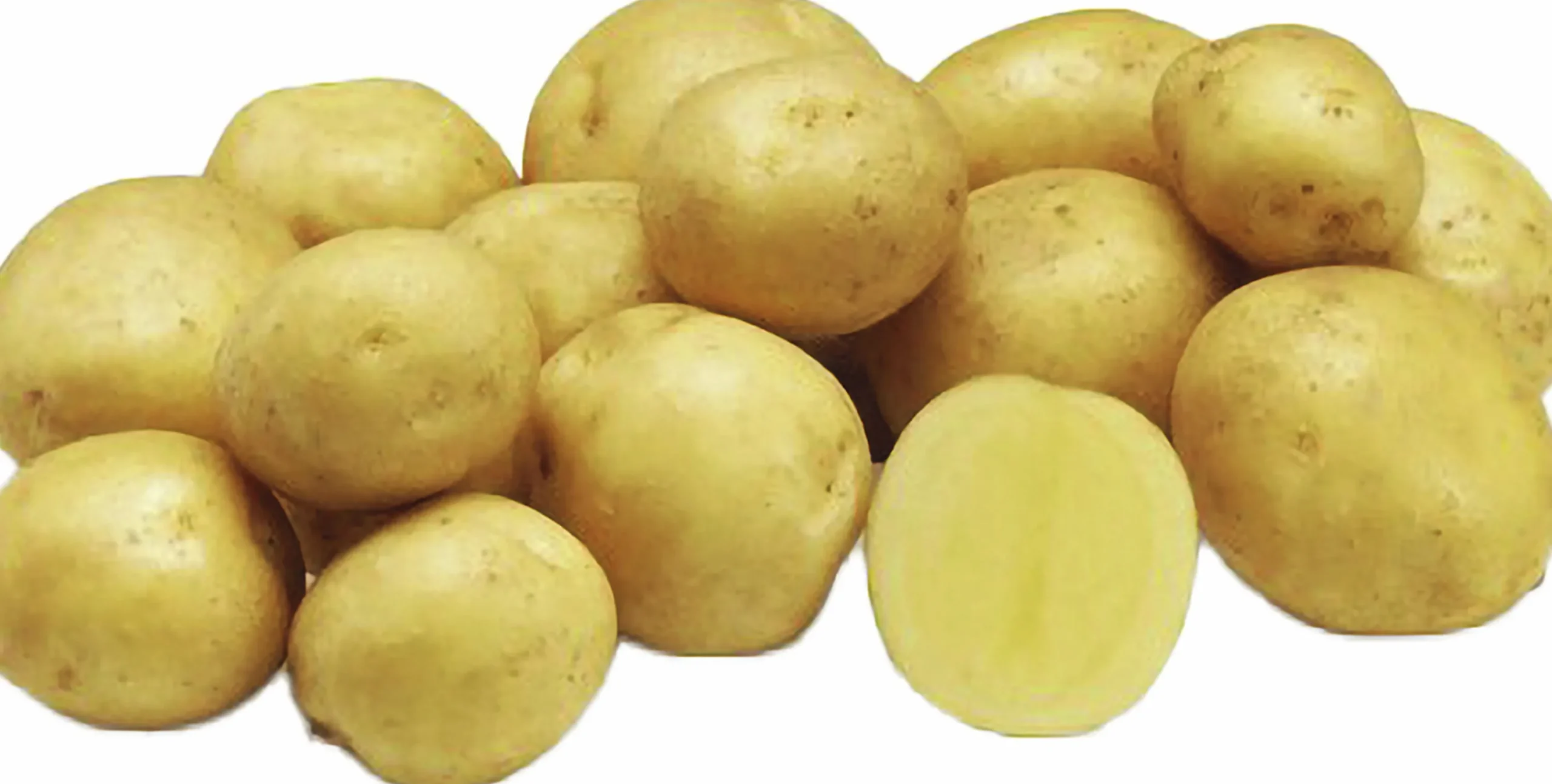 Sättpotatis Jacky Höst 1kg>LPM Clearance