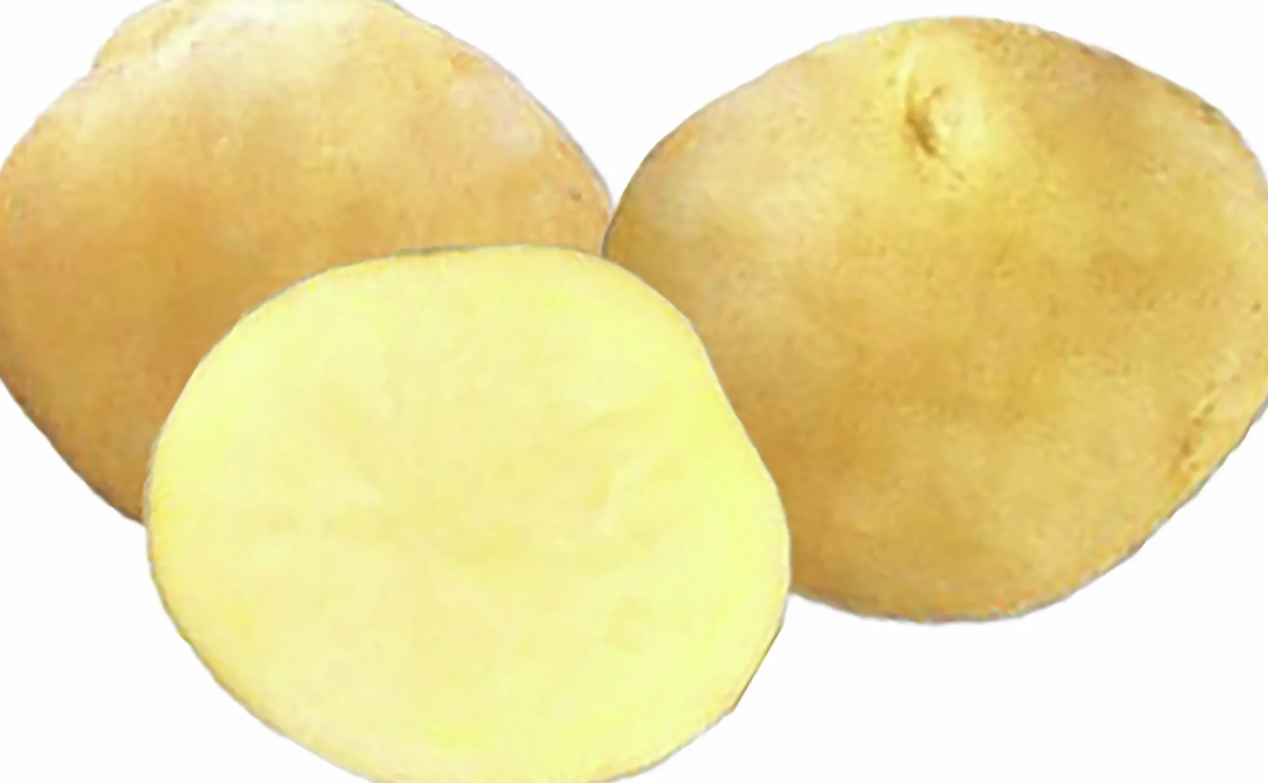 Sättpotatis Jaerla Vår 3kg>LPM Hot