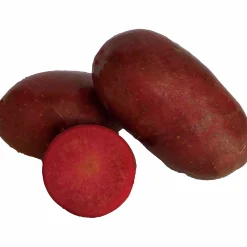 Sättpotatis Lily Rose Sommar 1kg>LPM Clearance