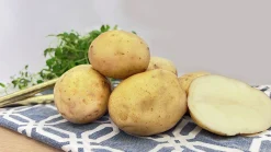 Sättpotatis Maris Bard Vår 3kg><noscript><img width=
