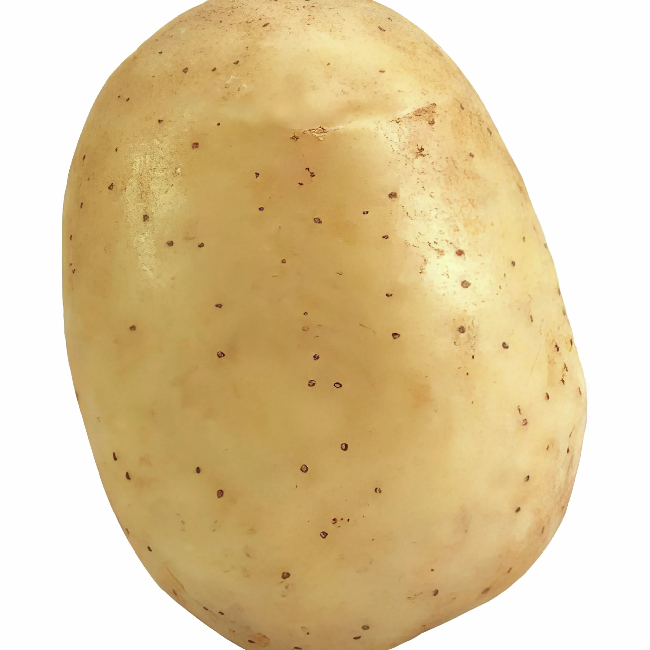 Sättpotatis Melody Höst 3kg>LPM Clearance