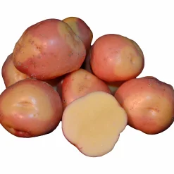 Sättpotatis Miss Blush Sommar 1kg><noscript><img width=