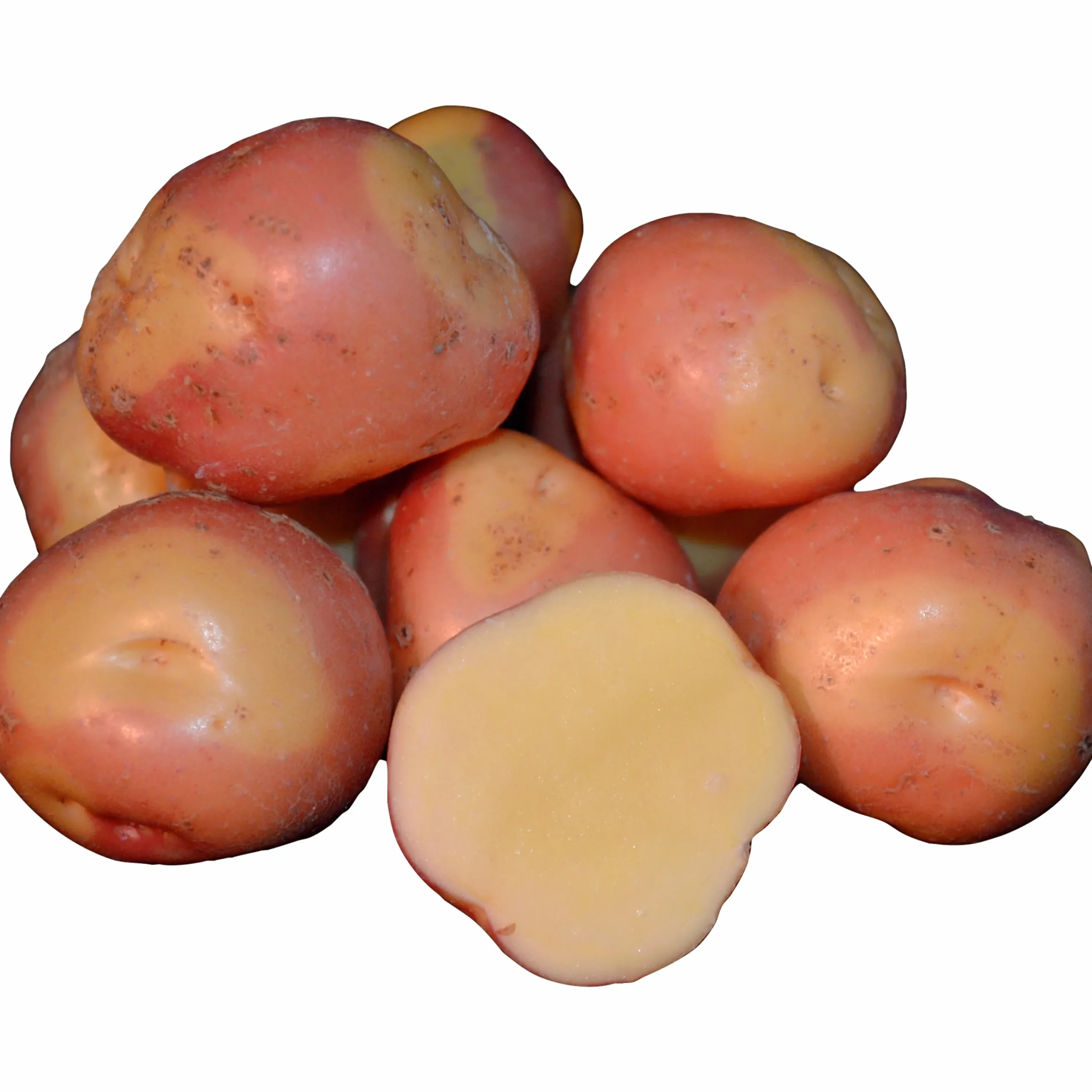 Sättpotatis Miss Blush Sommar 1kg>LPM Sale