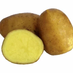 Sättpotatis Mixlåda 3 sorter 4,5kg><noscript><img width=