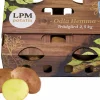 Sättpotatis Odla Hemma Trädgård 2,5kg>LPM Sale