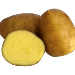 Sättpotatis Princess Sommar 3kg>LPM Discount