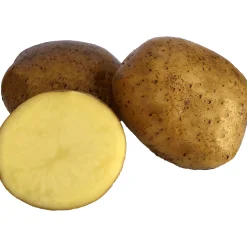 Sättpotatis Swift Vår 15kg>LPM Best