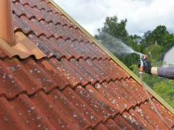 Teleskopskaft till takskrapa>Nelson Garden Hot
